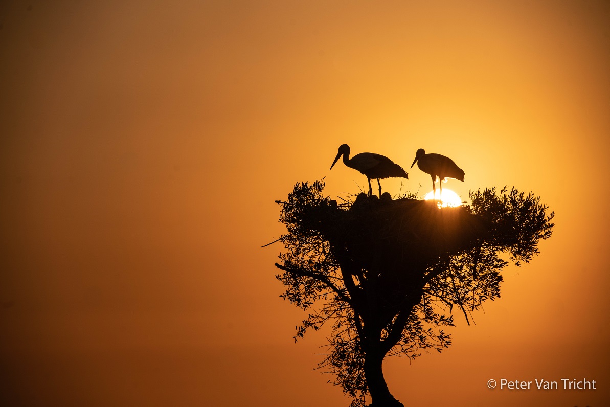 201806-Casa del Lice-R93D (151 van 227)